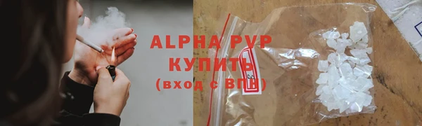 прущие крисы Абаза