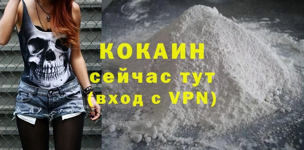 шишки Кукмор