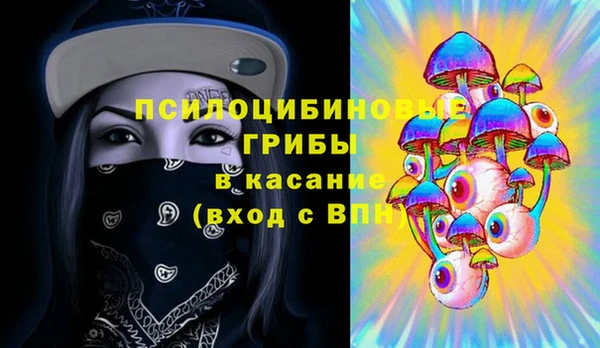 прущие крисы Абаза