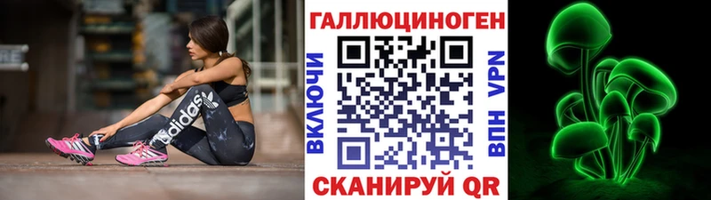 Псилоцибиновые грибы Cubensis  цена   МЕГА зеркало  Новокузнецк 
