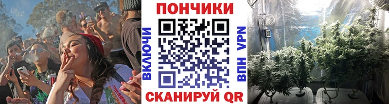блэк спрут ссылки  Новокузнецк  Бошки марихуана AK-47  магазин продажи  